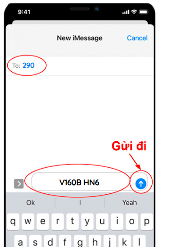 Cú pháp đăng ký V160B