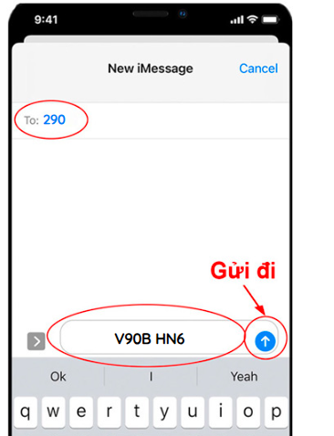 Cú pháp đăng ký V90B